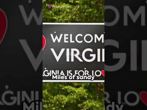 Top 3 Must Visit Spots in Virginia - Travel 2024