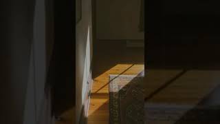 Download lagu Segala yang ada dalam hidupmu-Surgamu || Story wa mp3