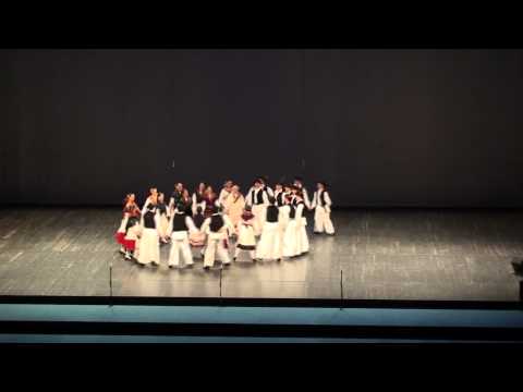 16. evropska smotra - KD BRDO KRANJ - SLOVENIJA