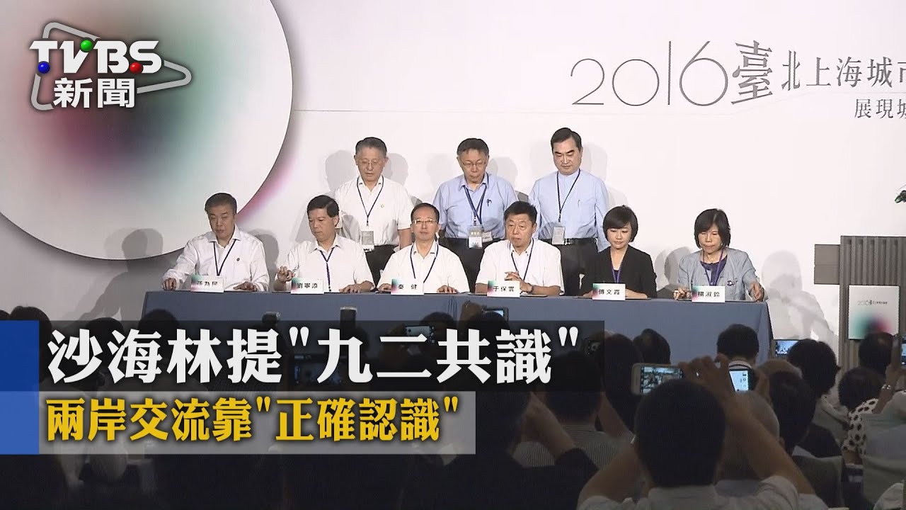 沙海林提「九二共識」　兩岸交流靠「正確認識」