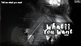 [CUBEVietfans][Vietsub] What you want ( Just say it ) - BTOB