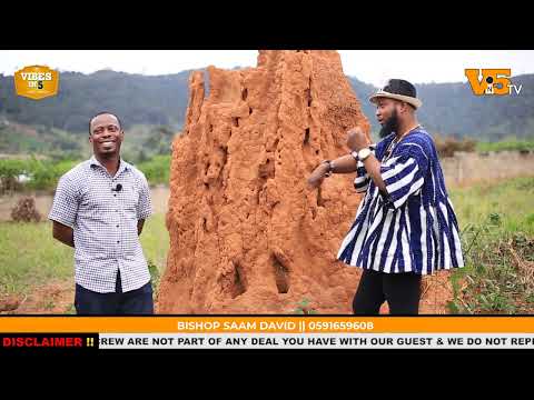 Check out the over 180 spiritual powers and wonders of an anthill. You will be amazed