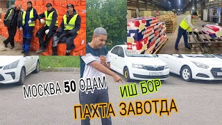 ИШ БОР ПАХТА ЗАВОТДА 50 ОДАМ КЕРАК СРОЧНО ИШ МОСКВА ДОМОДЕВОДА