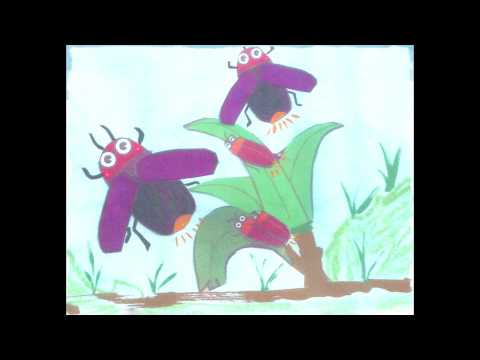 歌謠篇 卓群布農語 04Nu-in tapucquan 來!螢火蟲