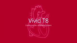 GE Vivid T8 video