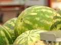 Где продаются самые вкусные и полезные арбузы