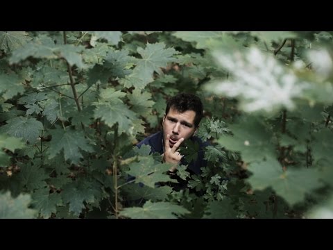 MC Bomber - Schenk ner Frau ein Baum