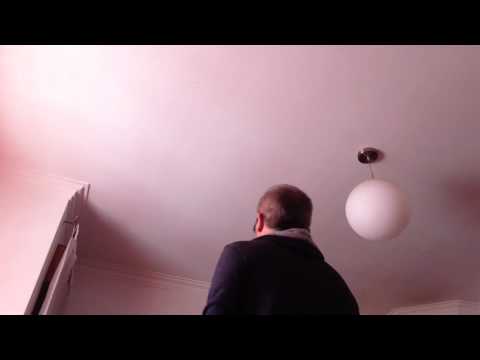 Mais um ensaio. A bonita melodia do fado Zeca