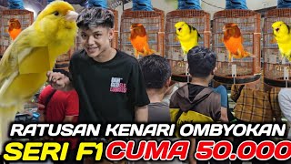 Download lagu PASAR BURUNG KENARI F1 ! RATUSAN EKOR KENARI F1 AF LOPER BEBAS PILIH 50.000 DIKIOS PASAR PRAMUKA mp3