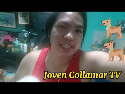 Ligo time ng aming mga Puppies