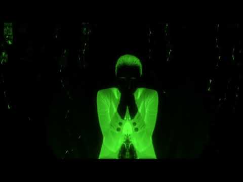 (Trance) Avis Vox Presents Loolacoma   Animam Official Music Video