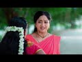 నేను అమ్మోరు వచ్చినట్టు నటించనన్న | Trinayani | Full Ep 1218 | Zee Telugu | 20 Apr 2024 - Video