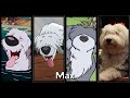 Prince Eric S Dog Max Evolution 1989 2023