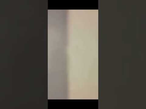 D Y ft Sinan Mv Freeslaktish