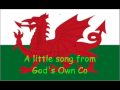 Bugeilio'r Gwenith Gwyn (Watching the Wheat) - Alun Rhys Jones