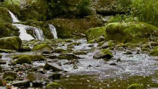 Relaxing Nature Scenes - Nature's Relaxing Music
