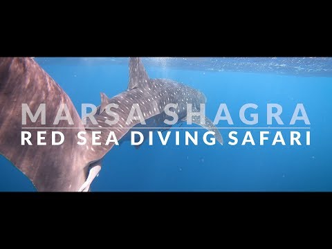 Marsa Shagra housereef in 3 days (4k)