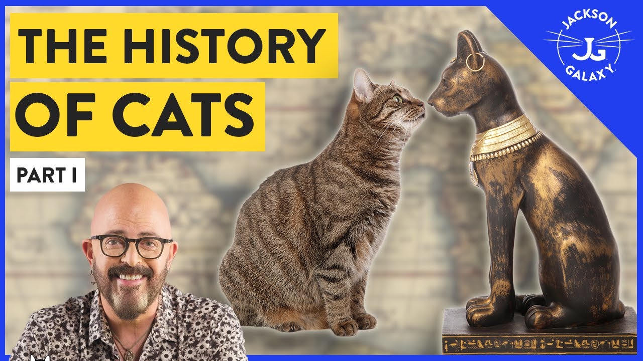 The History of Cats: Part I