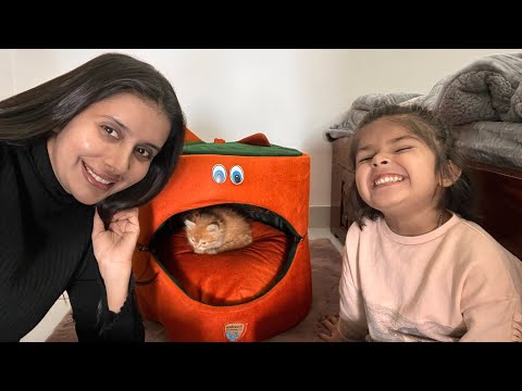 Welcoming Our New Furry Family Member| Meet Our Cute Kitten Sherlock 🕵️‍♂️ 