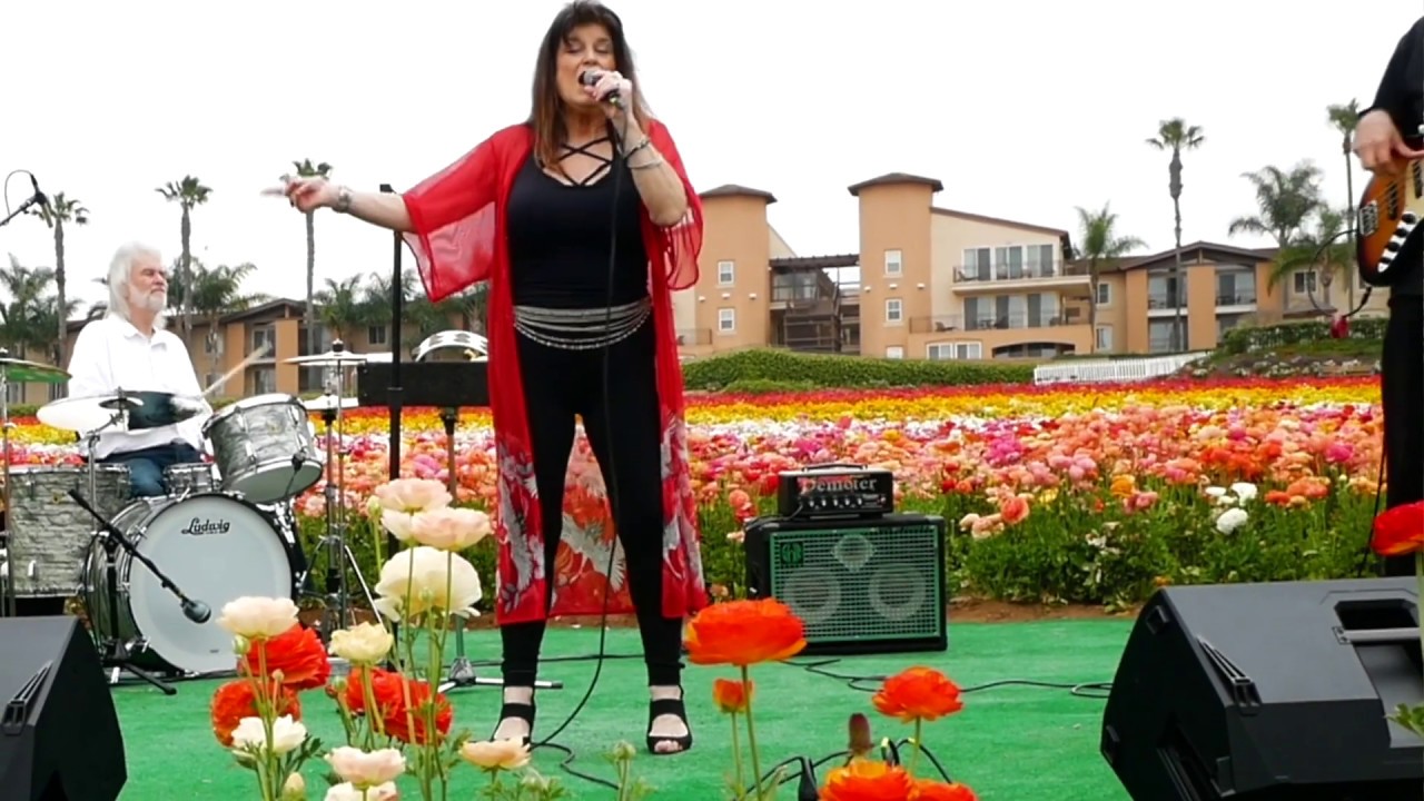 Promotional video thumbnail 2 for Michele Lundeen