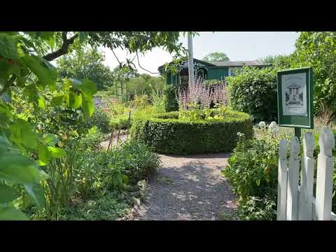 Trädgårdstips från trädgårdsmästare Martin!