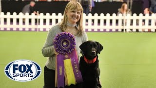 ‘Heart’ the black lab wins the Masters Obedience Championship for the 4th straight year | FOX SPORTS