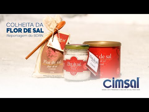 Colheita da Flor de Sal [Programa Bom dia RN]