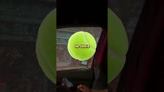 NUNCA ARRUME UMA BRIGA NO TRÂNSITO DOS EUA! 😲#shorts #curiosidades