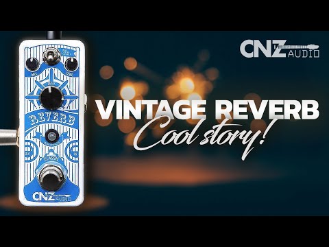 Vintage REVERB with a COOL story! CNZ Audio reverb