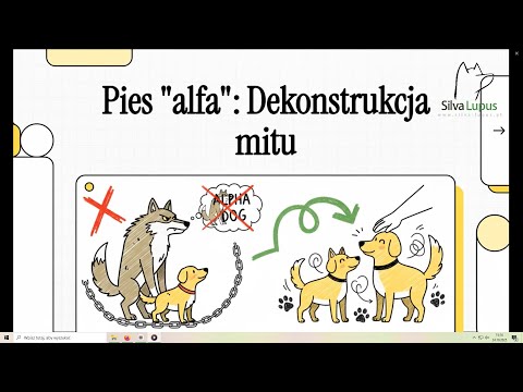 Teoria dominacji u psów – mit, który wraca jak bumerang