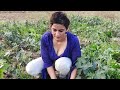 Hard Work Village Life Vlog Cute Girl New Crime Story By A One TV Hd By U Punjabi Tv