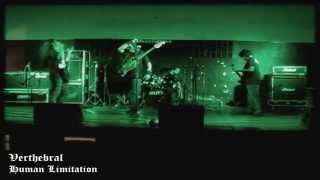 Verthebral - Human Limitation (Live)