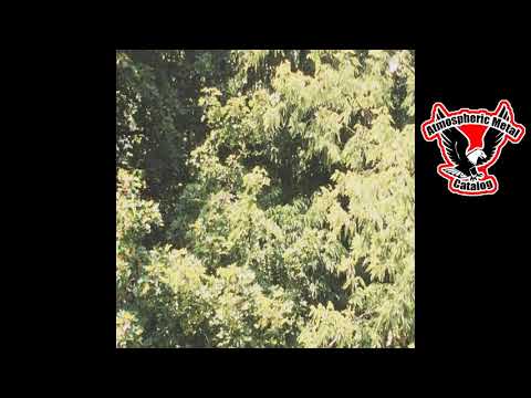 Sadness   "Circle of Veins" (Full Album - 2019) (USA)