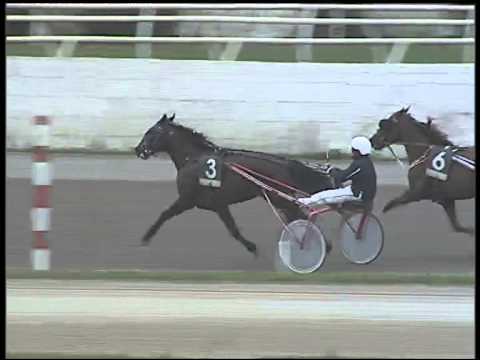 Trotto 01/02/2015 - 3° Corsa