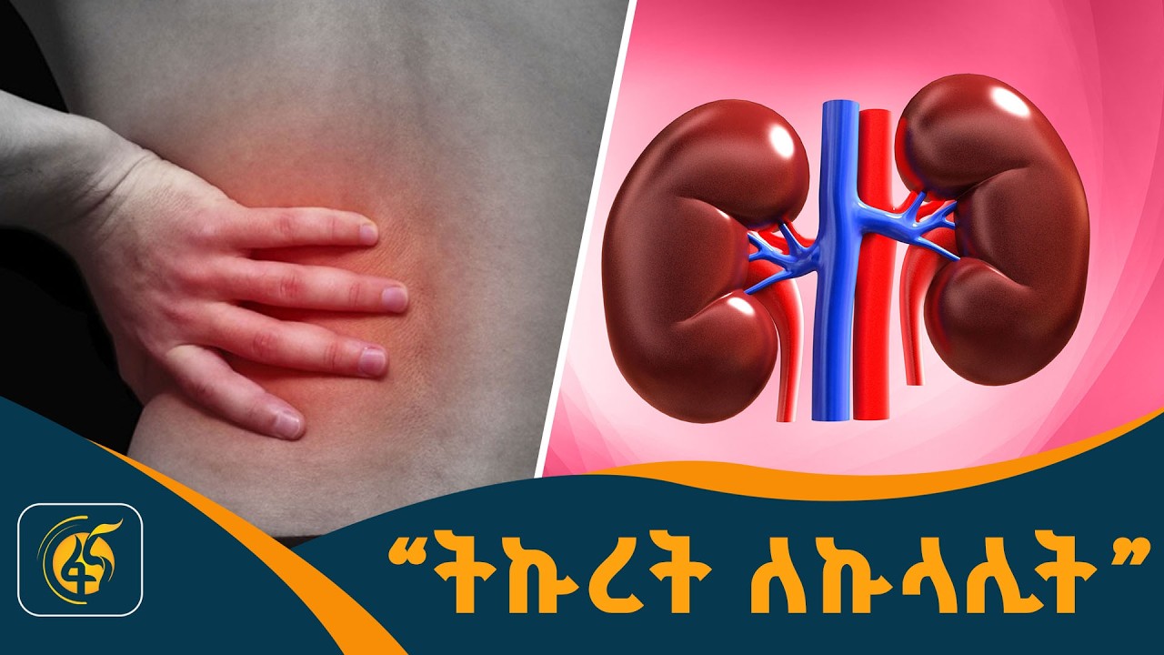 የኩላሊት ጤና