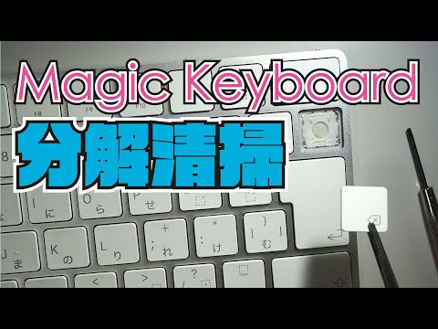 Remove and clean the Magic Keyboard keycaps