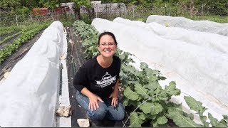 the GOOD, the BAD and the WEEDY!  Spring Garden Tour!