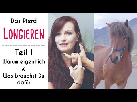 Pferd Longieren | Teil 1: Warum eigentlich & was brauchst Du dafür?!