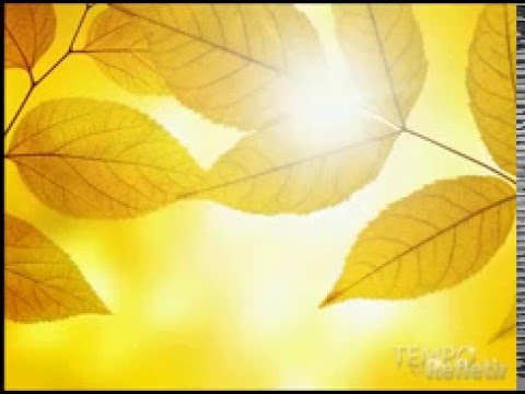 Pr.  Amilton Menezes  -   Entrega total.