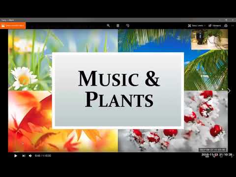 2017 11 23 PM Public Teaching in Polish - Nauki publiczne w języku polskim