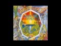 Ozric Tentacles - Neurochasm