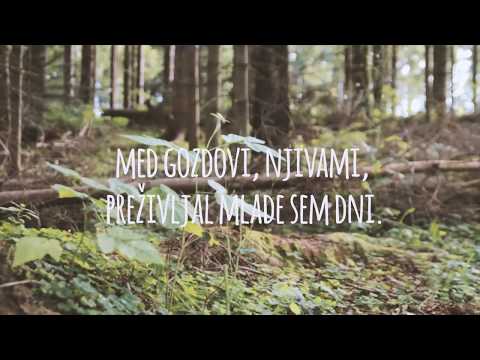 ANSAMBEL POZIV - Moje zaljubljeno srce