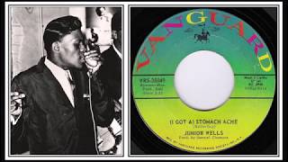 Junior Wells  ◄  (I Got A) Stomach  Ache  ►