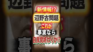 辺野古沖事故について #参政党 #辺野古 #山口敬之 #自民党