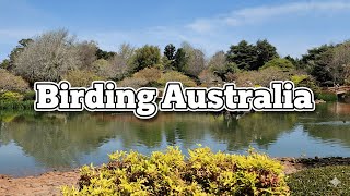 Birding Australia 🐦 | Queensland Hidden Wildlife Sanctuary.