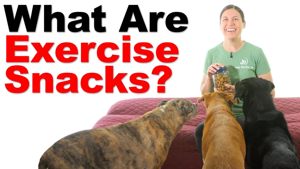 Exercise Snacks: Quick Activities With Great Health Benefits!