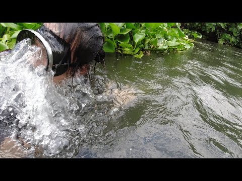 SE02EP85 Part 2 - BALIK ATAKE! Napa LABAN agad sa ILALIM ng Mga WATER LILIES | San Palo City, Laguna