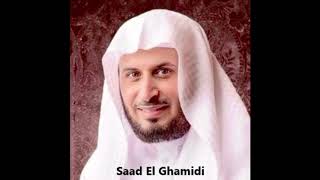 Download lagu #22   Al Hajj Le Pèlerinage   Saad El GHAMIDI   Sans Pub   without advertising mp3