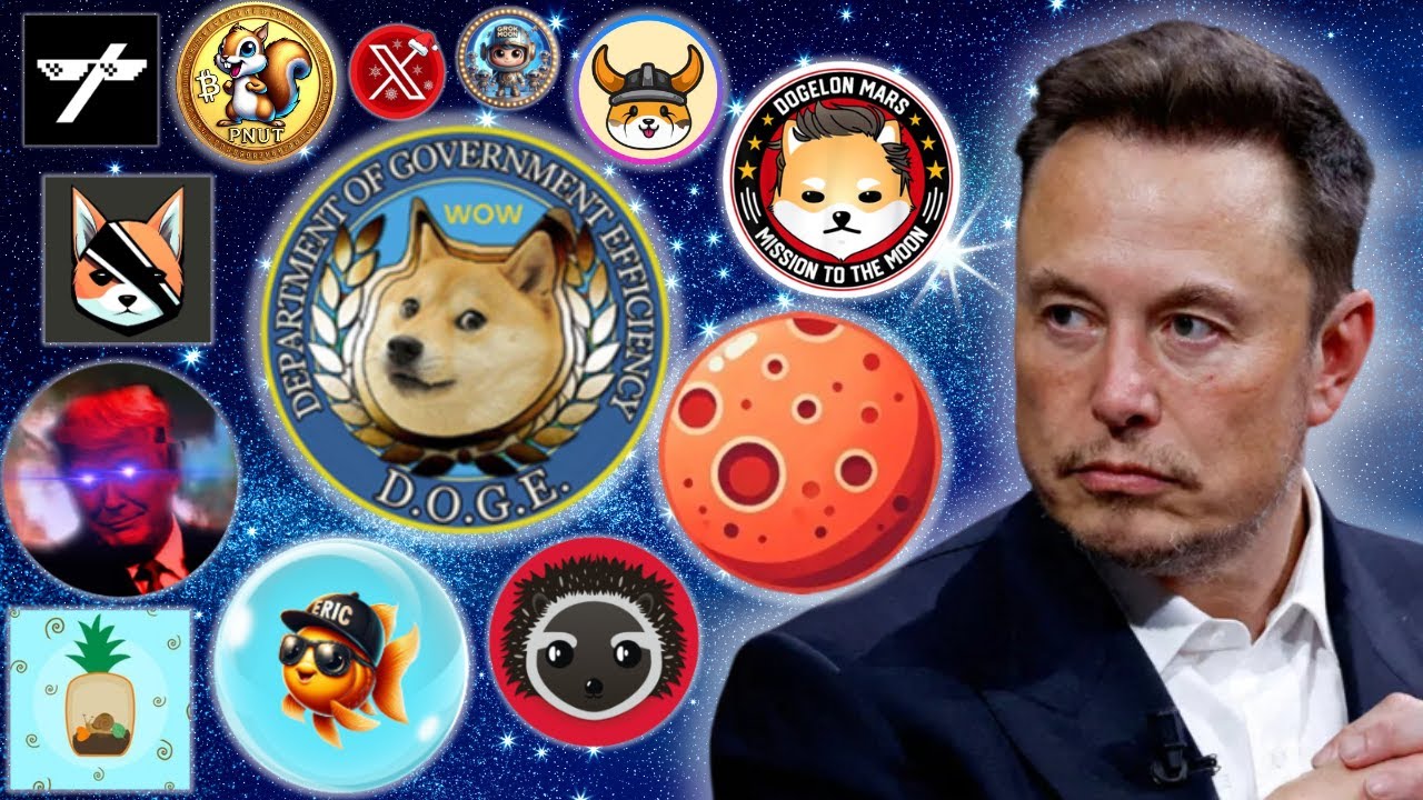 10 BEST Elon related meme coins for 2025