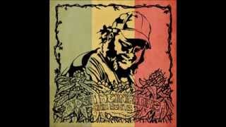 Josh Heinrichs 'Jah Roots' FULL REGGAE ALBUM (2011 GanJah Records)